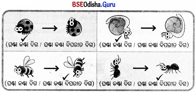 Class 5 Maths Chapter 3 Question Answer Odia Medium ଘୂର୍ଣ୍ଣନର କୋଣ 41
