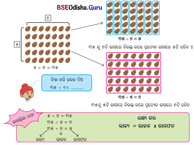 Class 5 Maths Chapter 9 Question Answer Odia Medium ନଡ଼ିଆ ବଗିଚା 1