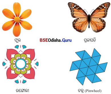 Class 6 Maths Chapter 9 Question Answer Odia Medium ପ୍ରତିସମତା Page 219 Q1