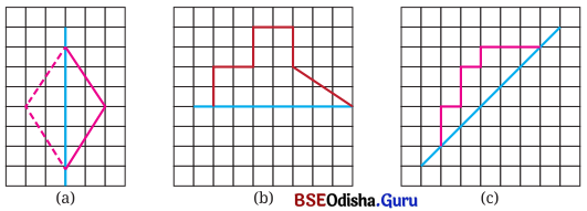 Class 6 Maths Chapter 9 Question Answer Odia Medium ପ୍ରତିସମତା Page 224 Q11