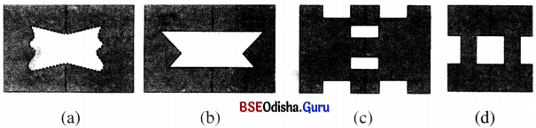 Class 6 Maths Chapter 9 Question Answer Odia Medium ପ୍ରତିସମତା Page 224 Q4.1