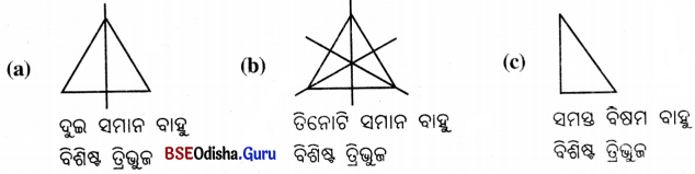 Class 6 Maths Chapter 9 Question Answer Odia Medium ପ୍ରତିସମତା Page 224 Q9