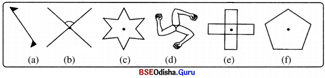 Class 6 Maths Chapter 9 Question Answer Odia Medium ପ୍ରତିସମତା Page 235 Q3.1
