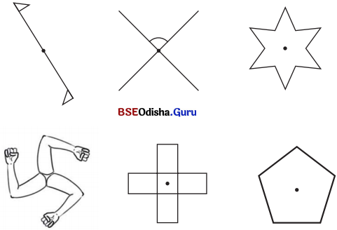 Class 6 Maths Chapter 9 Question Answer Odia Medium ପ୍ରତିସମତା Page 235 Q3