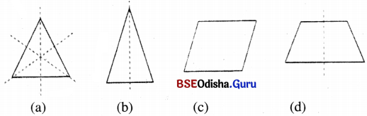 Class 6 Maths Chapter 9 Question Answer Odia Medium ପ୍ରତିସମତା Page 238 Q3