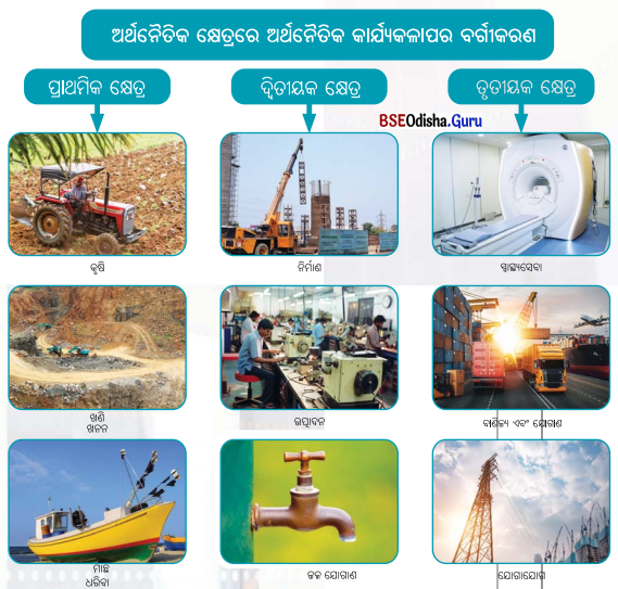 Class 6 Social Science Chapter 14 Notes Odia Medium ଆମ ଚତୁଃପାର୍ଶ୍ଵର ଅର୍ଥନୈତିକ କାର୍ଯ୍ୟକଳାପ-1