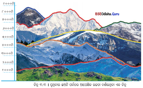 Class 6 Social Science Chapter 3 Notes Odia Medium ଭୂମିରୂପ ଏବଂ ଜୀବନ-4