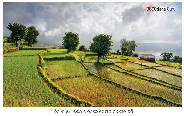 Class 6 Social Science Chapter 3 Notes Odia Medium ଭୂମିରୂପ ଏବଂ ଜୀବନ-8