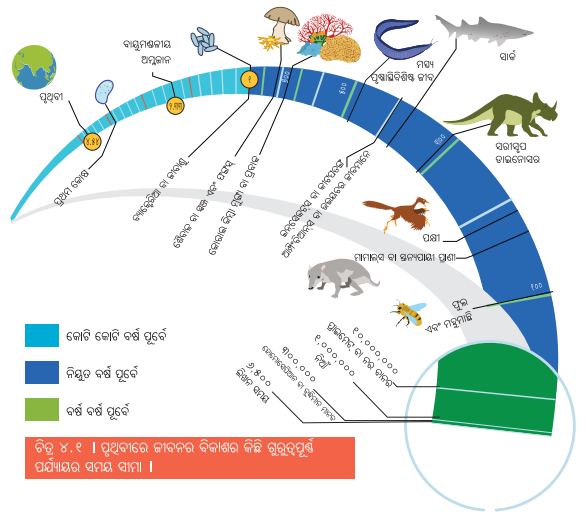 Class 6 Social Science Chapter 4 Notes Odia Medium ଇତିହାସର ସମୟସୀମା ଏବଂ ଉତ୍ସ-2