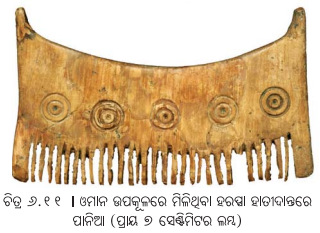 Class 6 Social Science Chapter 6 Notes Odia Medium ଭାରତୀୟ ସଭ୍ୟତାର ପ୍ରାରମ୍ଭ-10