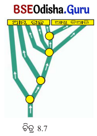 Class 7 Maths Chapter 8 Question Answer Odia Medium ଭଗ୍ନସଂଖ୍ୟାର ବ୍ୟବହାର 47
