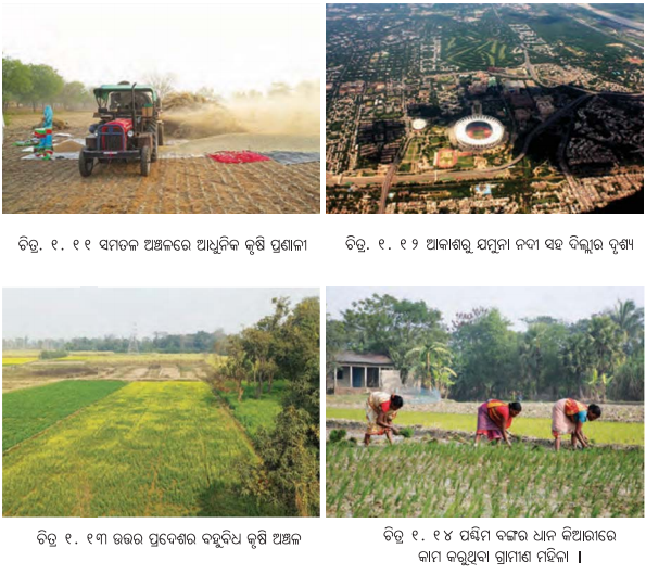 Class 7 Social Science Chapter 1 Notes Odia Medium ଭାରତର ଭୌଗୋଳିକ ବିବିଧତା-10