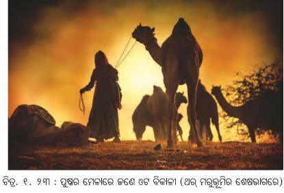 Class 7 Social Science Chapter 1 Notes Odia Medium ଭାରତର ଭୌଗୋଳିକ ବିବିଧତା-12