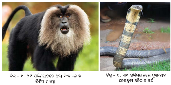 Class 7 Social Science Chapter 1 Notes Odia Medium ଭାରତର ଭୌଗୋଳିକ ବିବିଧତା-16