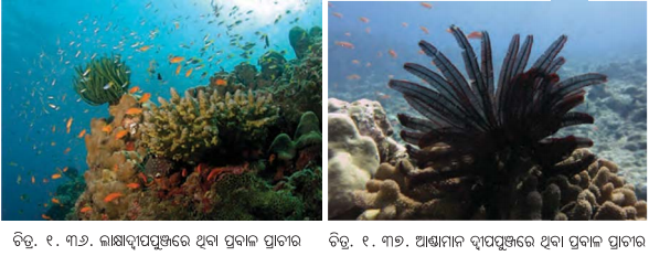 Class 7 Social Science Chapter 1 Notes Odia Medium ଭାରତର ଭୌଗୋଳିକ ବିବିଧତା-21