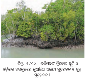 Class 7 Social Science Chapter 1 Notes Odia Medium ଭାରତର ଭୌଗୋଳିକ ବିବିଧତା-24
