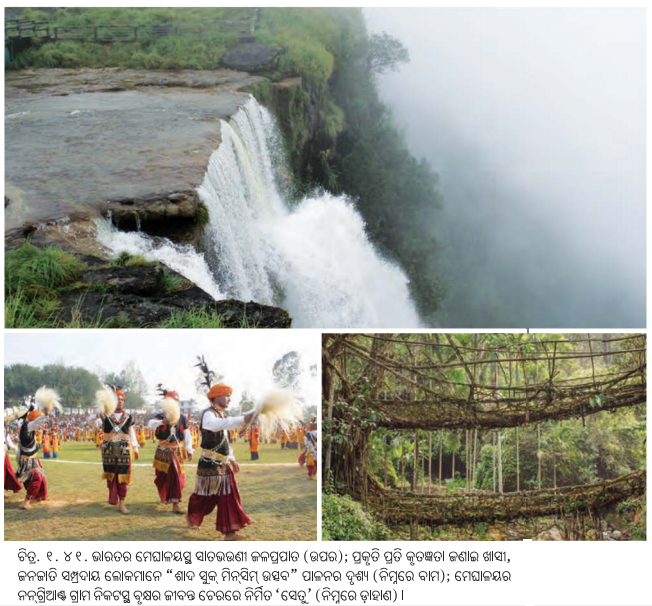 Class 7 Social Science Chapter 1 Notes Odia Medium ଭାରତର ଭୌଗୋଳିକ ବିବିଧତା-25