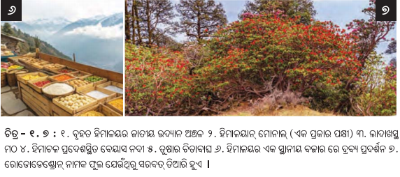 Class 7 Social Science Chapter 1 Notes Odia Medium ଭାରତର ଭୌଗୋଳିକ ବିବିଧତା-6