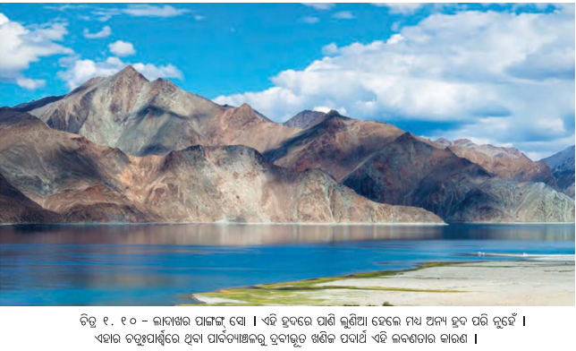 Class 7 Social Science Chapter 1 Notes Odia Medium ଭାରତର ଭୌଗୋଳିକ ବିବିଧତା-9