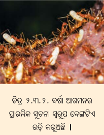 Class 7 Social Science Chapter 2 Notes Odia Medium ପାଣିପାଗକୁ ବୁଝିବା-2