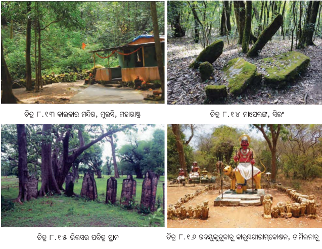 Class 7 Social Science Chapter 8 Notes Odia Medium ଭୂମି ପବିତ୍ର ହୁଏ କିପରି-10