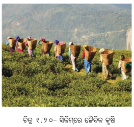 Class 8 Social Science Chapter 1 Notes Odia Medium ପ୍ରାକୃତିକ ସମ୍ବଳ ଓ ତା’ର ବ୍ୟବହାର-13
