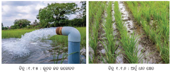 Class 8 Social Science Chapter 1 Notes Odia Medium ପ୍ରାକୃତିକ ସମ୍ବଳ ଓ ତା’ର ବ୍ୟବହାର-9