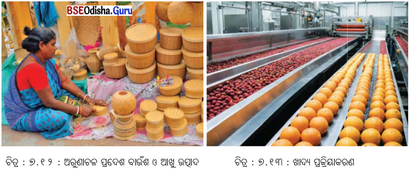 Class 8 Social Science Chapter 7 Notes Odia Medium ଉତ୍ପାଦନର କାରକ-5