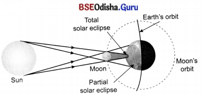 Earth, Moon, and the Sun Class 7 Extra Questions and Answers Science Chapter 12.2