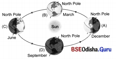 Earth, Moon, and the Sun Class 7 Extra Questions and Answers Science Chapter 12.3