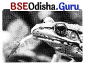 Life Processes in Animals Class 7 MCQ with Answers Science Chapter 9.1