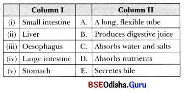 Life Processes in Animals Class 7 MCQ with Answers Science Chapter 9.5