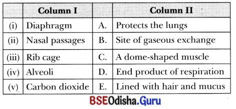 Life Processes in Animals Class 7 MCQ with Answers Science Chapter 9.7