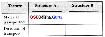 Life Processes in Plants Class 7 Extra Questions and Answers Science Chapter 10.4