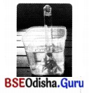 Life Processes in Plants Class 7 Extra Questions and Answers Science Chapter 10.7
