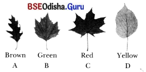 Life Processes in Plants Class 7 MCQ with Answers Science Chapter 10.3