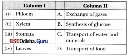 Life Processes in Plants Class 7 MCQ with Answers Science Chapter 10.5