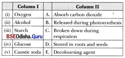 Life Processes in Plants Class 7 MCQ with Answers Science Chapter 10.6