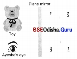 Light Shadows and Reflections 7 MCQ with Answers Science Chapter 11.5