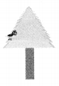 Light Shadows and Reflections 7 MCQ with Answers Science Chapter 11.6