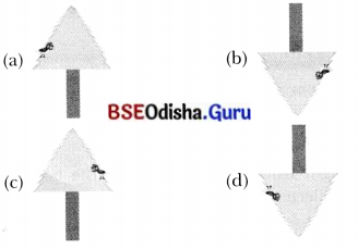 Light Shadows and Reflections 7 MCQ with Answers Science Chapter 11.7