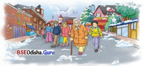 Somebody’s Mother Class 8 Question Answer English Jasmine Chapter 5.8