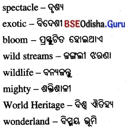 Spectacular Wonders Class 8 Question Answer English Jasmine Chapter 9 4