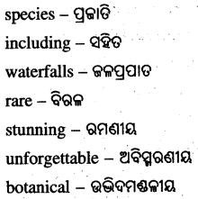 Spectacular Wonders Class 8 Question Answer English Jasmine Chapter 9 5
