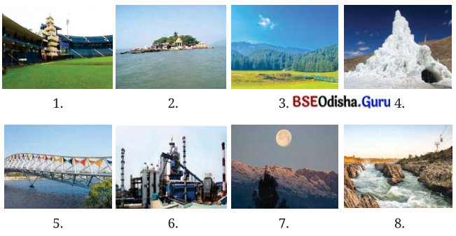 Spectacular Wonders Class 8 Question Answer English Jasmine Chapter 9.1