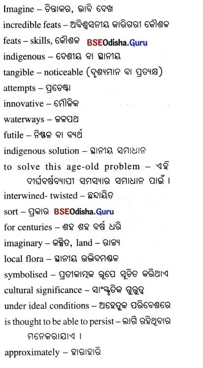 Spectacular Wonders Class 8 Question Answer English Jasmine Chapter 9.11
