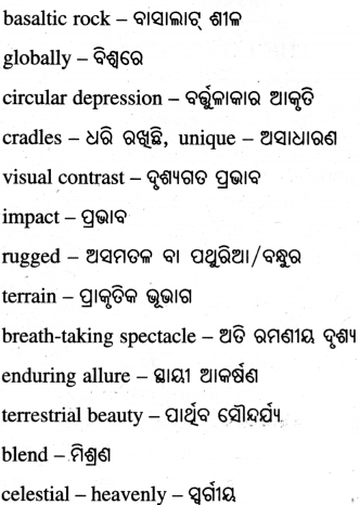 Spectacular Wonders Class 8 Question Answer English Jasmine Chapter 9.13
