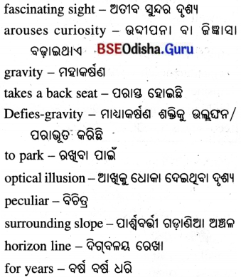Spectacular Wonders Class 8 Question Answer English Jasmine Chapter 9.14