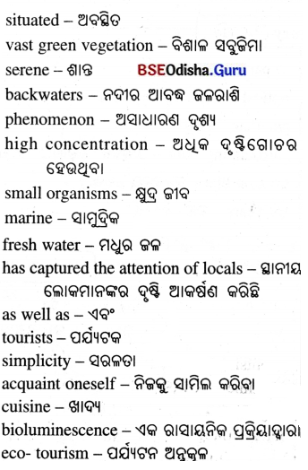 Spectacular Wonders Class 8 Question Answer English Jasmine Chapter 9.15