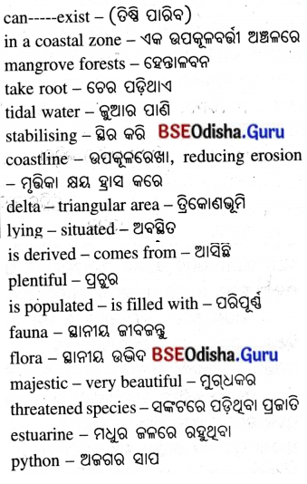 Spectacular Wonders Class 8 Question Answer English Jasmine Chapter 9.16